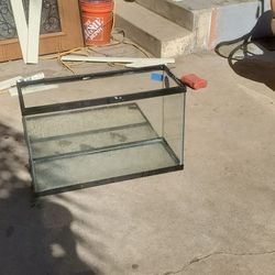 Glass Fish Tank