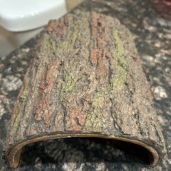 Two And One Lizard And Snake Hide Out