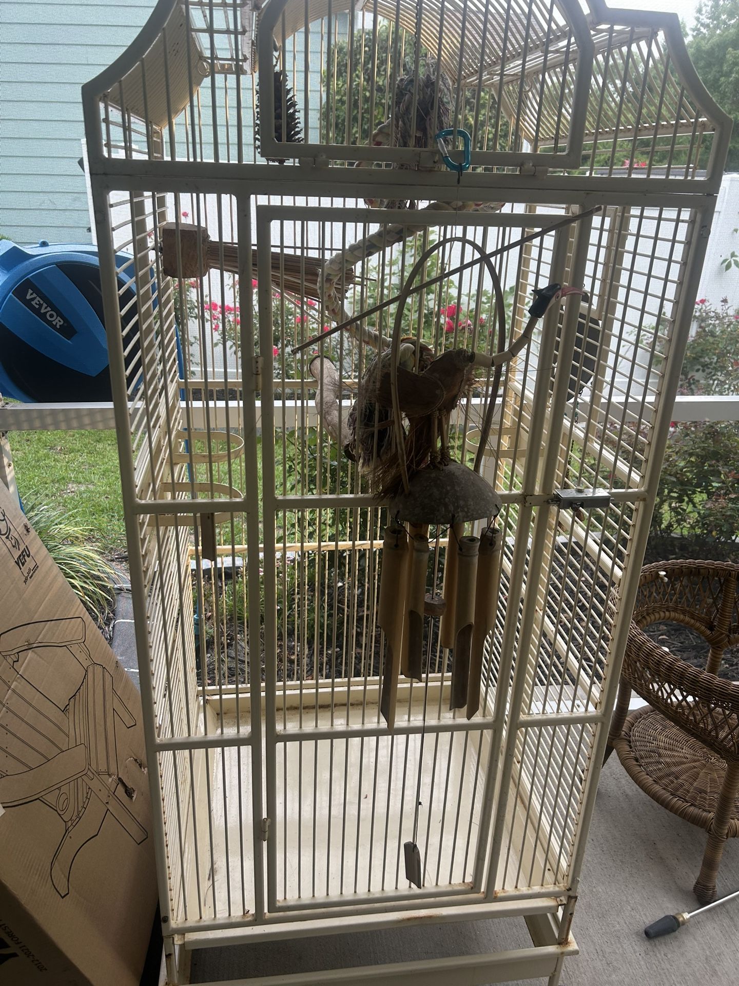 Bird Cage (animal)