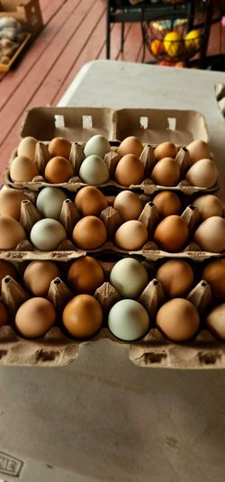 Organic eggs CV