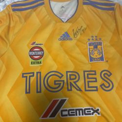 Signed Tigers Jersey 