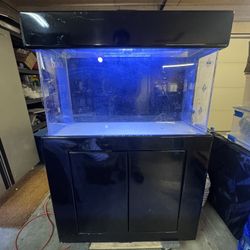 45 Gallon TRUVU Aquarium