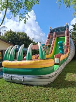 20 ft Dino slide