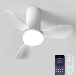 26 Inch Ceiling Fans with Lights, 3 Blade Low Profile Small Ceiling Fan with Light for Bedroom Dining Room Kitchen Patio (White