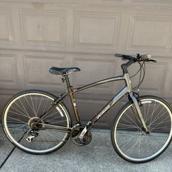 Specialized Vita Hybrid Bike