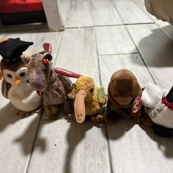 Beanie Baby’s 