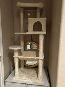 Cat Tower