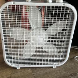 Fan 