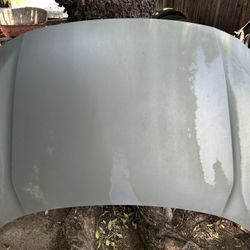 2018 Honda Civic Hood No Dents Needs Paint