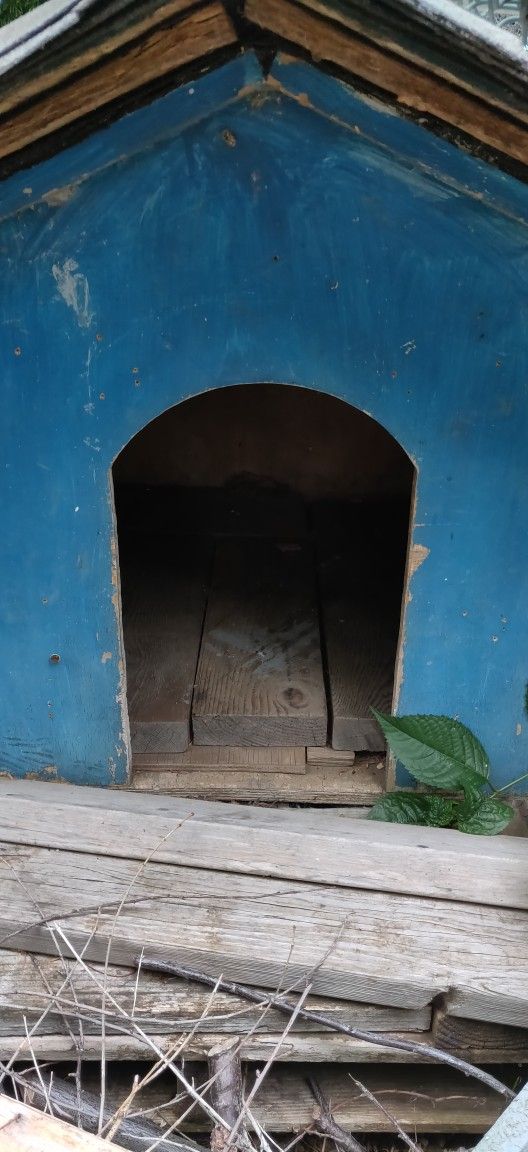 Small Dog House