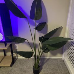 Fake Plant