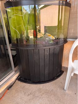 54 Gallon Corner Bowfront Aquarium with stand .