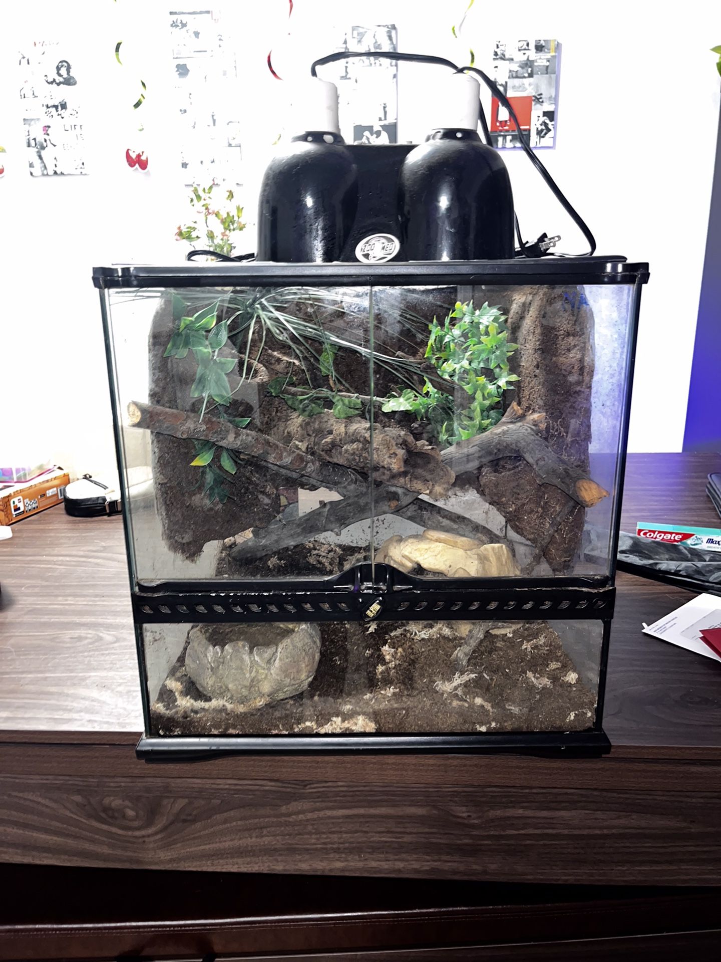 Front Open Reptile Enclosure