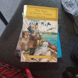 Chapter Books