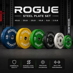 ROGUE Steel Plate Set, Excellent Condition