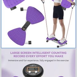 renZEC Waist Twister Machine