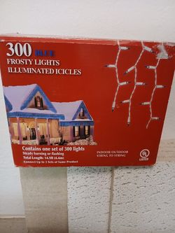 CHRISTMAS FROSTY LIGHTS