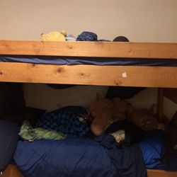 Bed Bunk