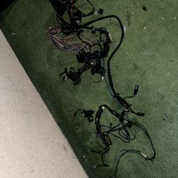 2017 Road King Special OEM Complete Wire Harness