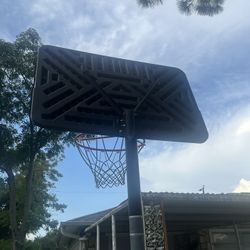 Lifetime Basketball Hoop 