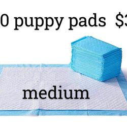 puppy pads 350 count   $30