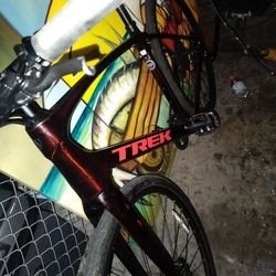 Carbon Fiber Trek Bike 