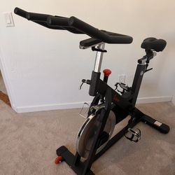 Sunny Exercise Bike