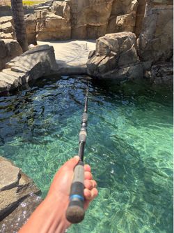 M1 inshore/ swimbait rod