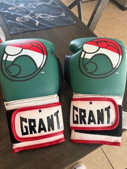 Boxing gloves