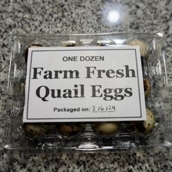Quail Eggs / Huevos De Codorniz 