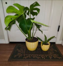 Beautiful Ceramic Planter Only