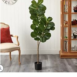Gorgeous in green, this potted fiddle leaf tree by Valerie Parr Hill brings the look of nature into your home. The tree's large green leaves are a lov