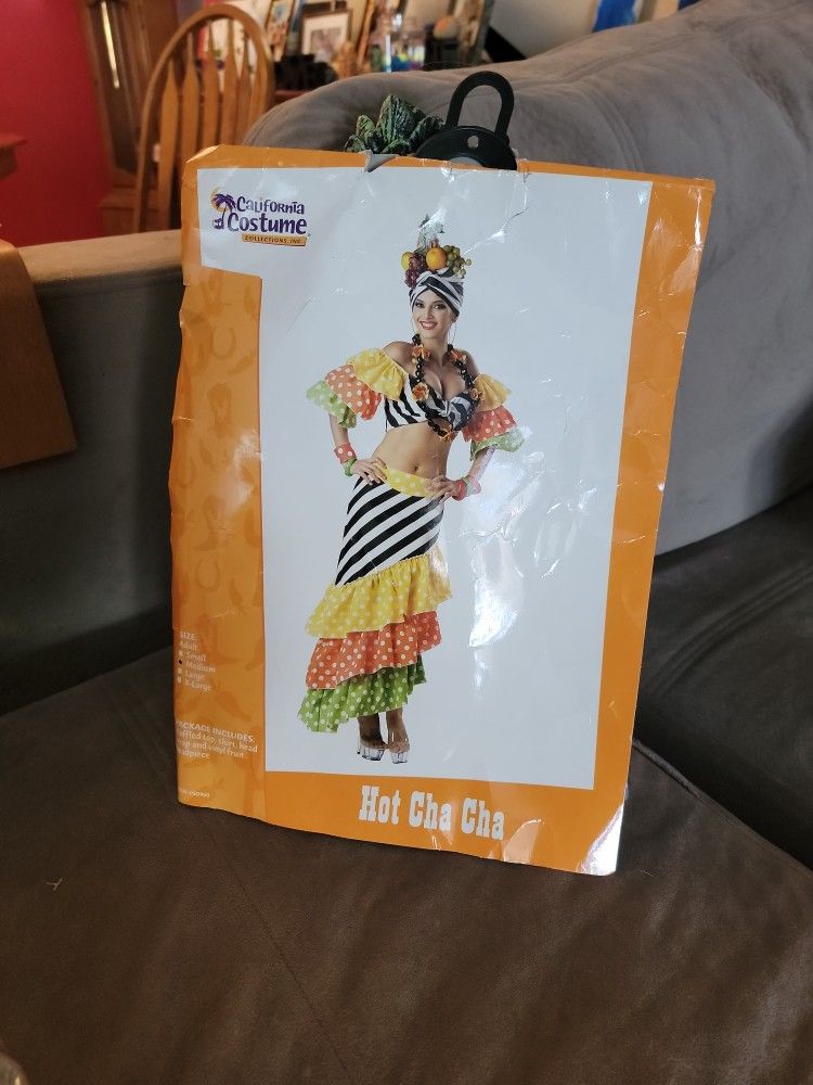 Halloween Costume