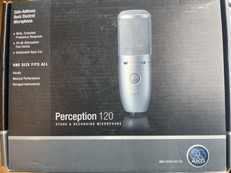 AKG Perception Mic (P120)