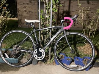 2015 SE Bike Royale