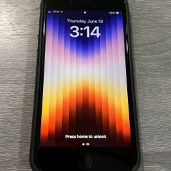 iPhone SE Apple Leather Case