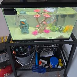 Fish Tank For Sale