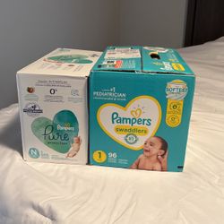 Pampers 