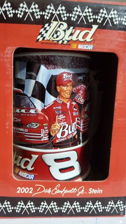 2002 stein Dale Jr Budweiser Nascar