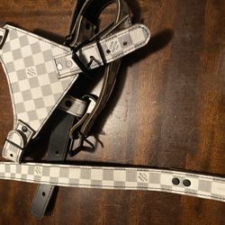 Dog Harness