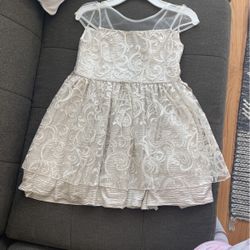 Girls Silver Dress