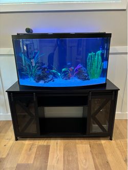 Fish Aquarium with Stand - Complete System