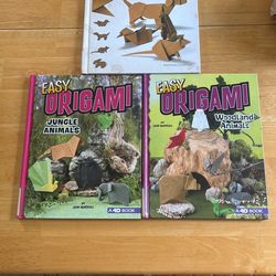 Origami Book Set Of 3