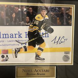 Noel Acciari Boston Bruins Autographed Photo 