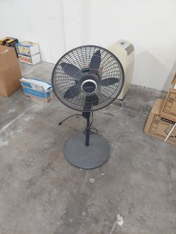 Fan