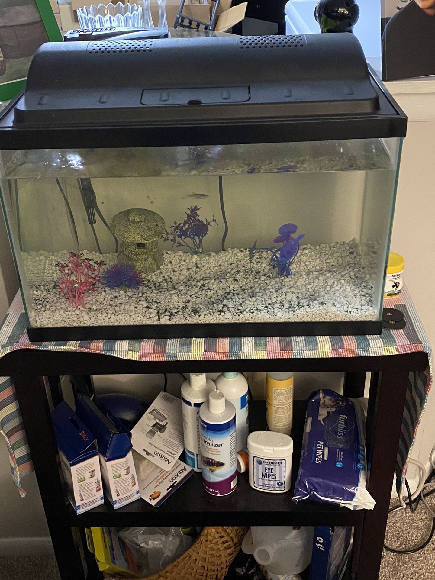 Fish Tank, Stand And Accessories