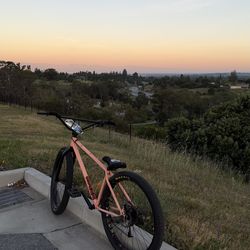 MAFIA BOMMA 27.5 TRADES ONLY CASH OFFERS