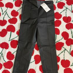 Zara Leather Pants