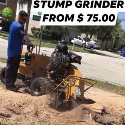 Stump Grinding 