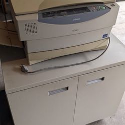Printer and File Cabinet 
